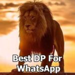 the best dp for whatsapp
